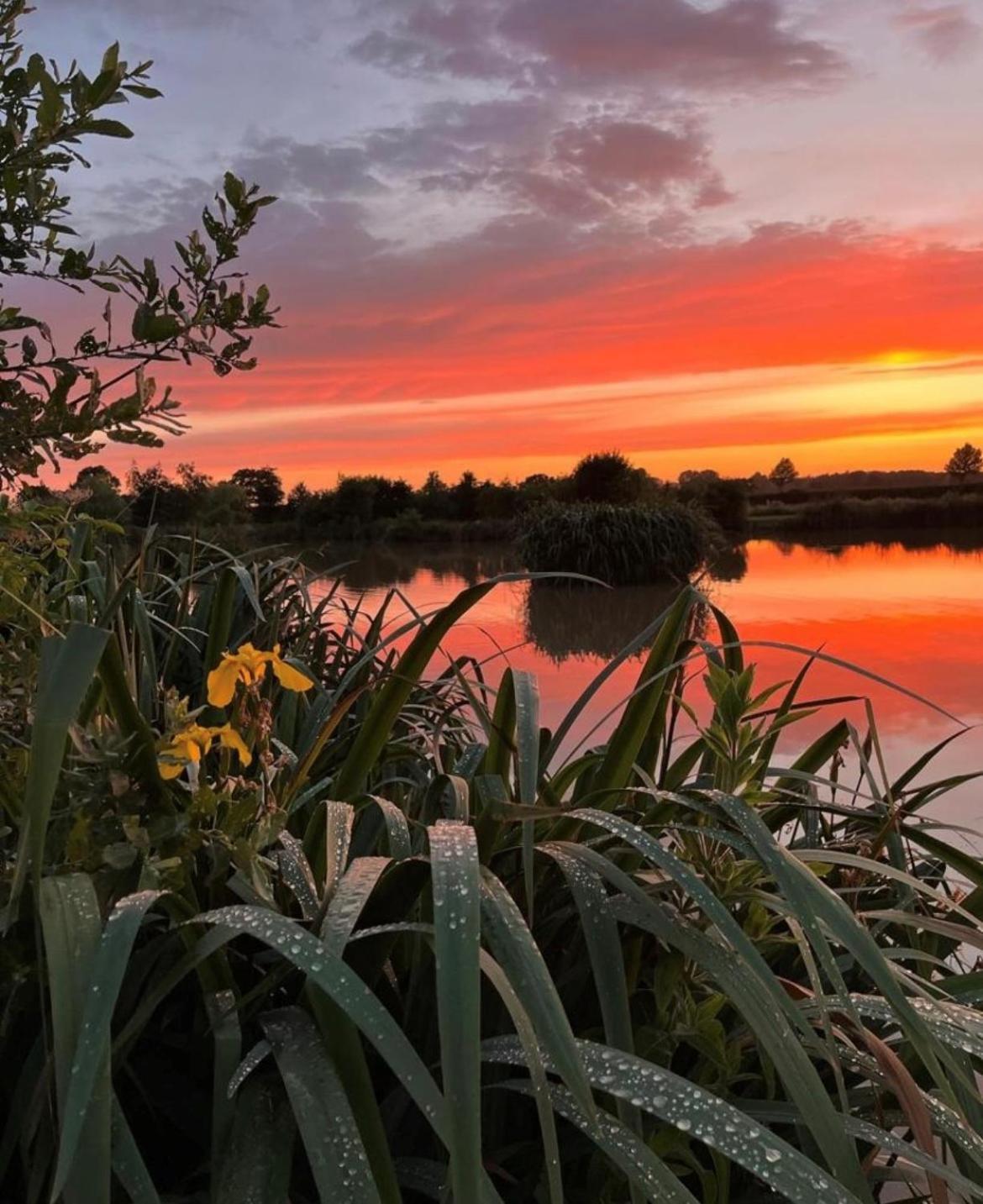New Farm Cheshire Holidays วินส์ฟอร์ด ภายนอก รูปภาพ